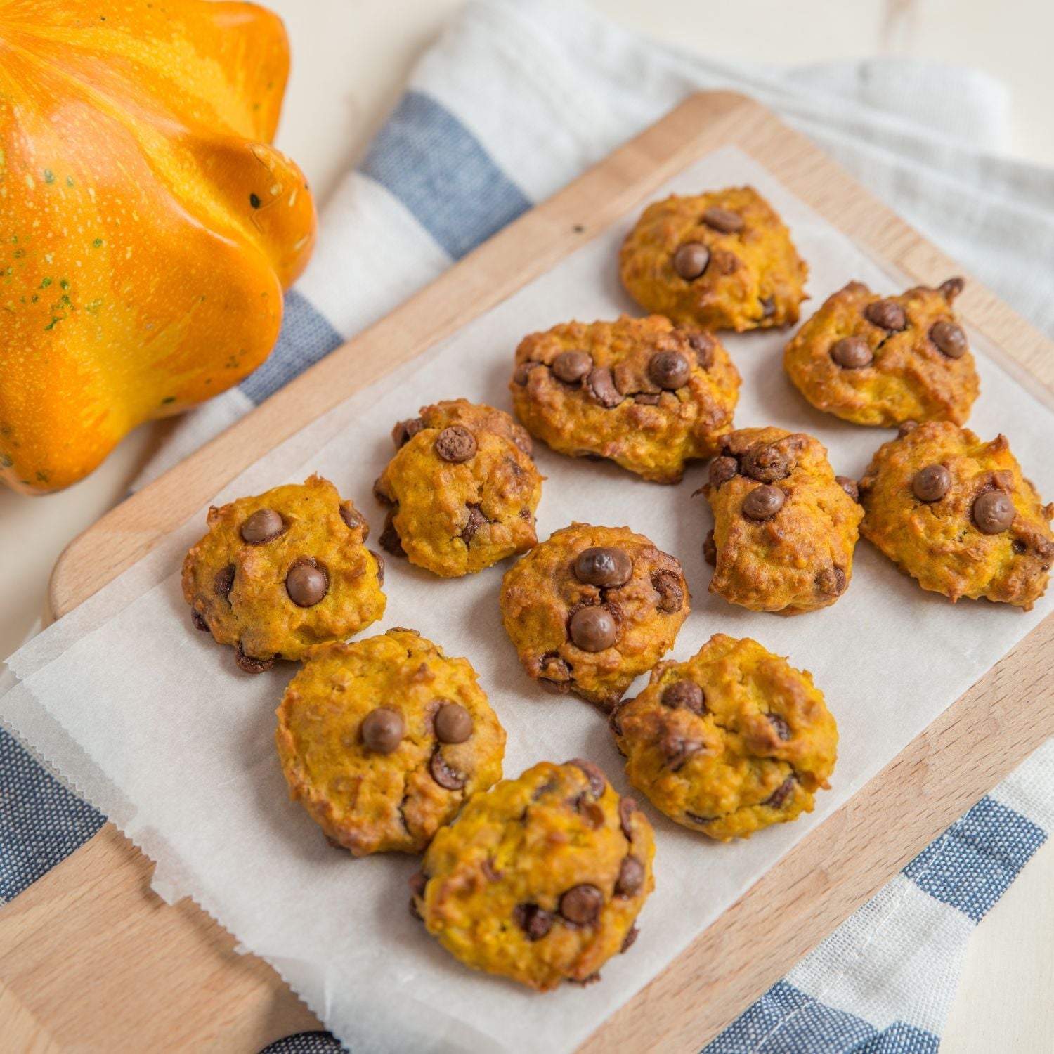 Kaputda kechki porno Baliq torlarida qizlarning porno fotosuratlari