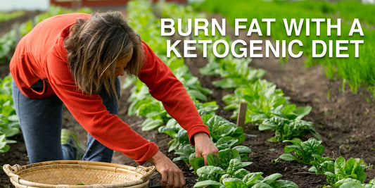 Blow Torch Your Fat with Ketogenic Diet!
