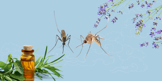 Natural Bug Repellents for Critter Season
