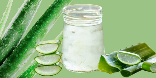 Aloe Vera: The Benefits For Inside And Outside Your Body