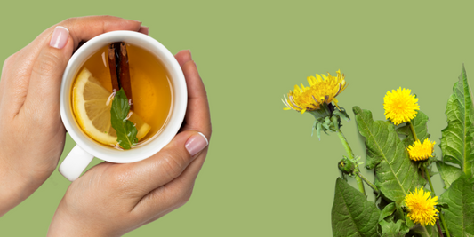 The Top Liver-Supporting Supplements and Herbs for Healthy Individuals