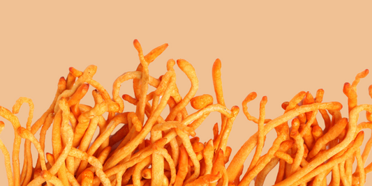 Cordyceps Mushroom: Benefits and How to Use It