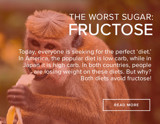A light brown monkey is eating a banana. The image reads: "The Worst Sugar Fructose."