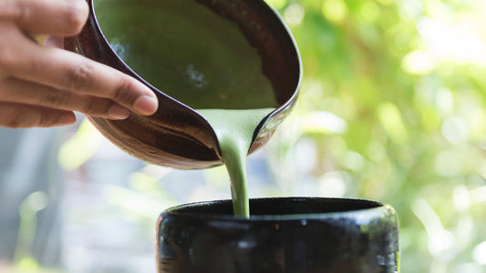 Why Matcha is the King of Tea
