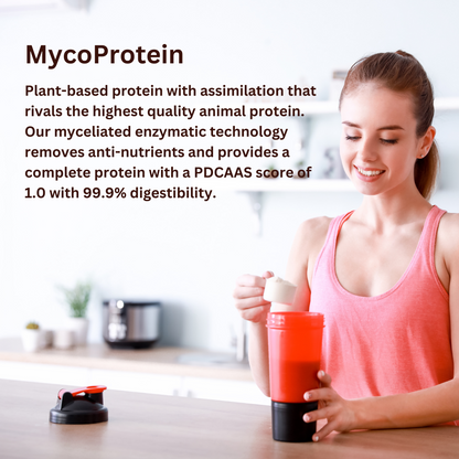 ChagaRoot MycoProtein Products with Lakanto Sweetener