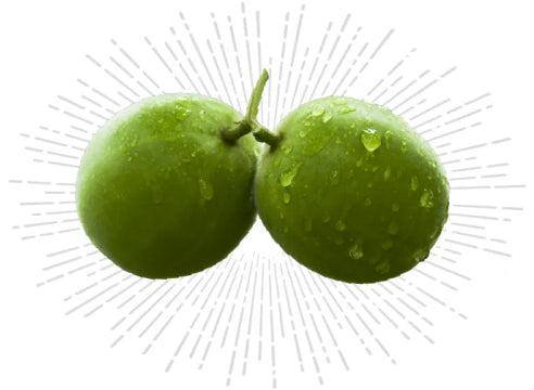 Monkfruit